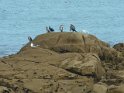2011-09-26 10-37-08 Plage Pors Carn MBo